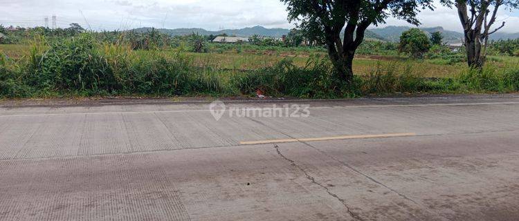 Tanah Luas Bojonegara Akses Tol Cilegon Timur 1