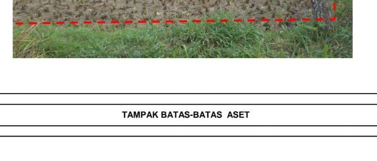 Tanah sawah batorasang madura nego sampai deal 1