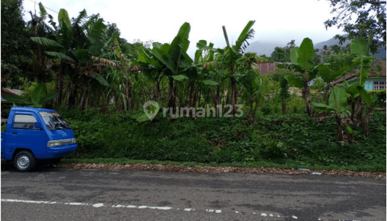 Tanah Bentuk Kotak Ruteng – NTT 1