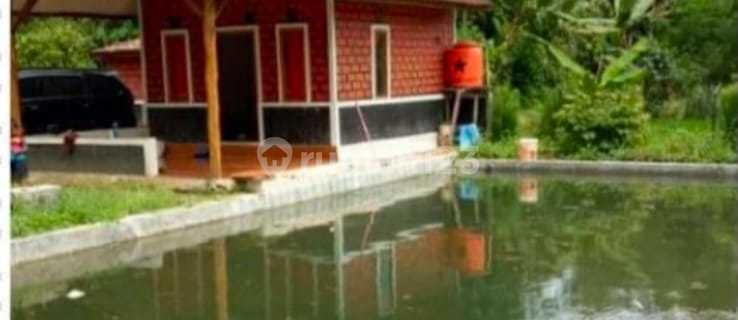 Vila mungil tanah Luas di subang Jawa barat 1