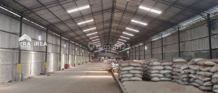 Di Sewakan Cepat Gudang Besar Jl. Raya Arteri Kaliwungu Mororejo, Kendal 1