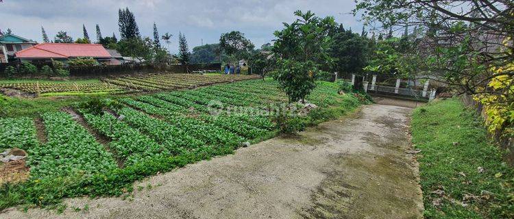 Tanah di Villa Bukit Mas 2405 m² SHM Puncak Cocok bercocok tanam 1