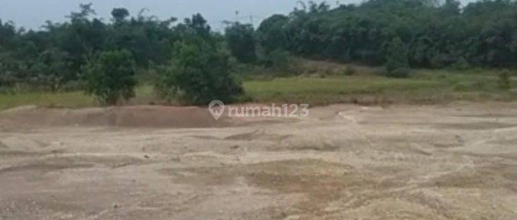 Dijual Tanah Bagus Dan Murah di Maja Tangerang 1