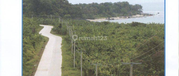 Dijual Tanah Di Tanjung Lesung Pandeglang Banten 1