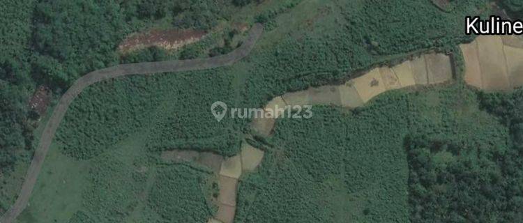 DIJUAL TANAH PETERNAKAN DI LEBAK BANTEN  1