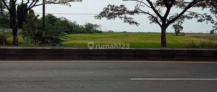 Dijual tanah murah di cirebon luas 3ha 1