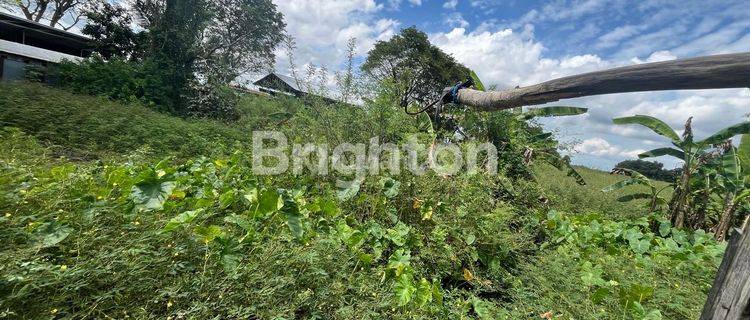 DIJUAL TANAH DAN BANGUNAN DI AHMAD YANI BANJARMASIN 1