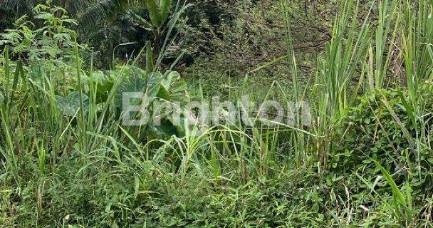 DIJUAL TANAH DI JALAN POROS BANJARBARU 1