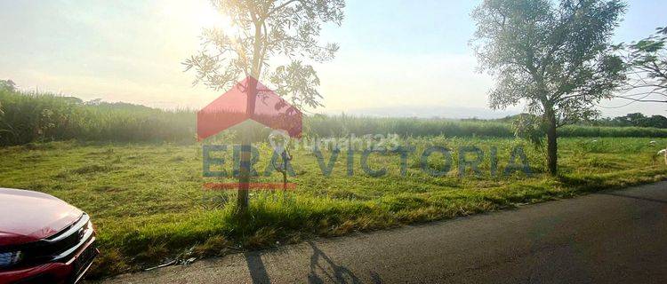 Tanah Di Karangrejo Kab Tulungagung, 15 Mnt Ke Masjid 1000 Kubah 1