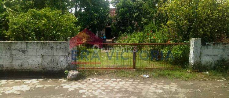 Tanah Bonus Rumah Di Kawasan Ramai Bisnis Warujayeng Nganjuk 1
