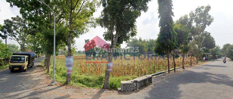 Dijual Tanah Luas Pandaan Pasuruan Lokasi Jalan Akses Ke Bangil 1