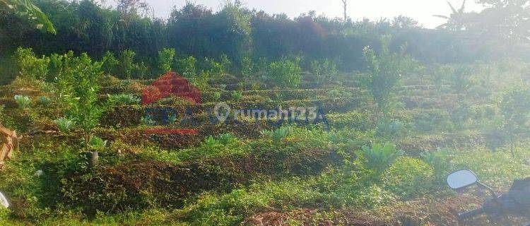 Dijual Tanah Dekat Apart Sama View Cocok Untuk Berkebun Kota Malang 1