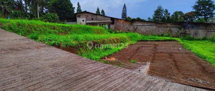 Tanah SHM Megamendung puncak Bogor Jawa barat Mega green land 1