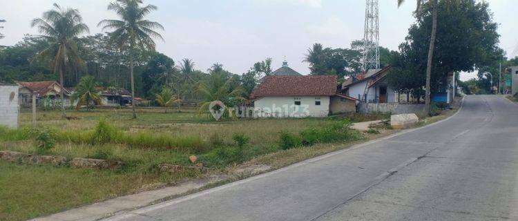 Dijual Tanah Padat Siap Bangun di Cianjur 1