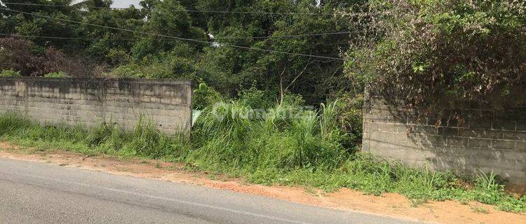 Tanah di Jalan raya ketapang SHM. Lokasi strategis pinggir jalan raya 1