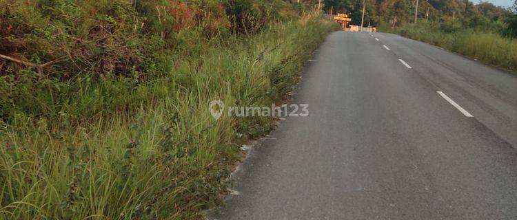 Tanah hampir 2 hektar. di Jn. Tanjung gunung. Pangkalan baru tepat sebelah gerbang tempat wisata bebek emas 1