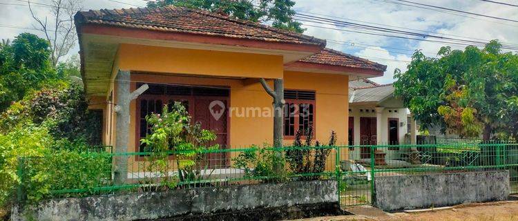 Jual Rumah Jalan Kalamaya Semabung. Kondisi Rumah Bagus. Siap Huni 1