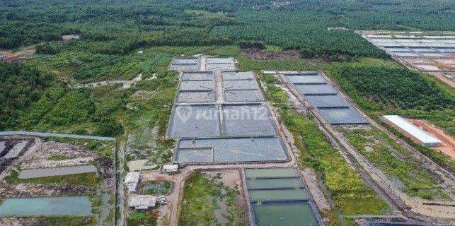 Dijual Lahan Tambak. 20 Hektar Tj. Krasak. 7,5 Hektar Sudah Ada Kolam  1