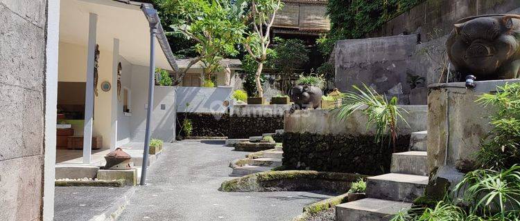 Rumah dijual di Payangan, ubud Bali SHM Semi Furnished lt 700m2 perlu renov, murah 2.1M 1