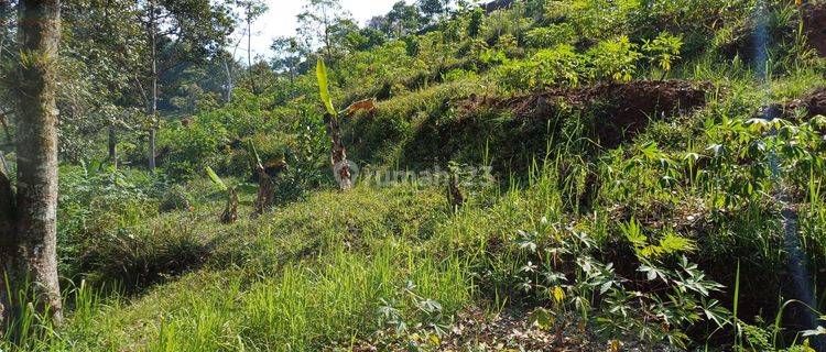 Tanah dekat duren warso , Lido strategis cepat Cijeruk ,caringin, sukabumi , jawa barat 1