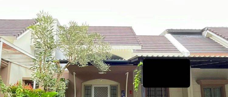 Dijual Cepat Rumah Murah Siap Huni Tajur Bogor Sudah Full Renov 1
