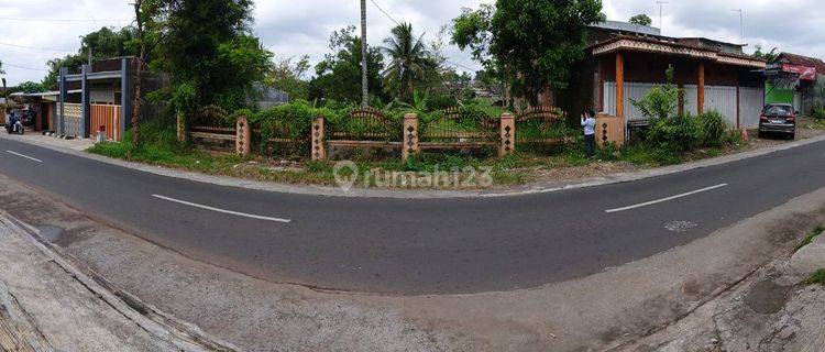 Dijual Cepat Tanah Murah di Nol Jalan Raya Pandansari C046  1