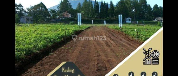 Mau Bangun Villa Impian Di Green Mountville Aja 1