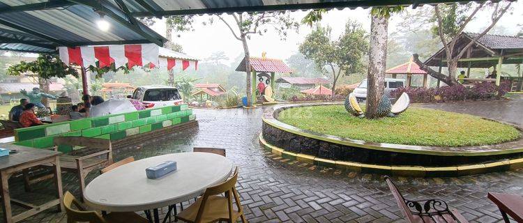 1327 Dijual murah ex Wahana Wisata Fresh Green Duyung Trawas Mojokerto 1