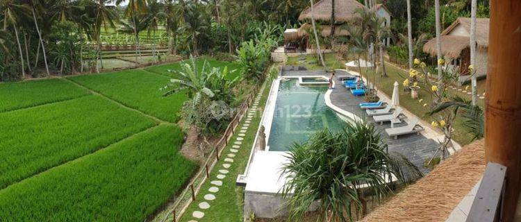 Wooden Villa full View 2 Lantai Bagus di Jalan Pantai Kedungu SHM 1