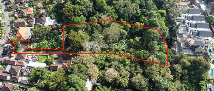 Cheap Land Suitable for Villa Complex in Kaba Kaba, Tabanan SHM 5,060 m² 1