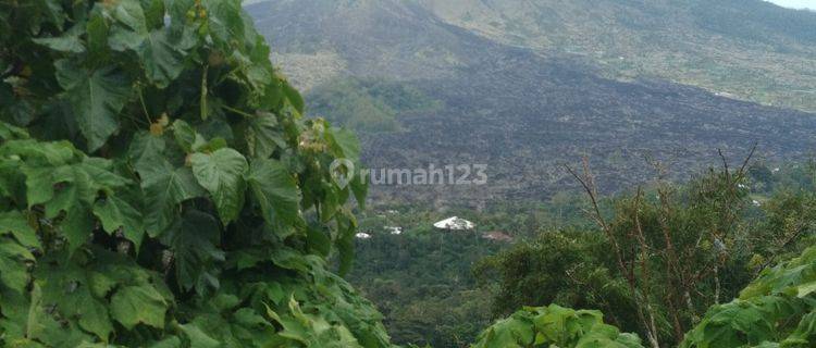 Tanah di Jalan Raya Penelokan, Kintamani Bangli SHM 30.000 m² View Cantik 1