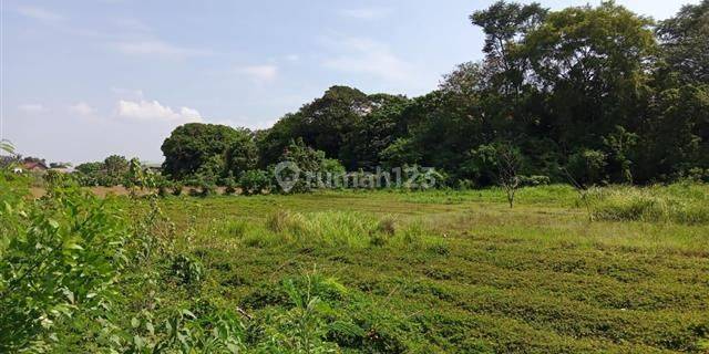 Tanah Luas Strategis Hutan Kota di Tambun Utara Bekasi 1