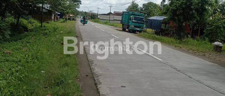 TANAH AREA BERKEMBANG SENTOLO, SELANGKAH BANDARA INTERNASIONAL YOGYAKARTA JOGJA, SELANGKAH TUGU PENSIL MONUMEN KIJANG JALAN RAYA WATES  SENTOLO 1