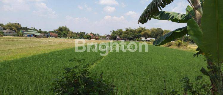 SAWAH KLATEN, LOKASI STRATEGIS, SELANGKAH STASIUN, TERMINAL, RSUD BAGAS WARAS, STIEKES SMK MUHAMADIYAH, PERUMAHAN TAMAN ANGGREK, PASAR SRAGO 1