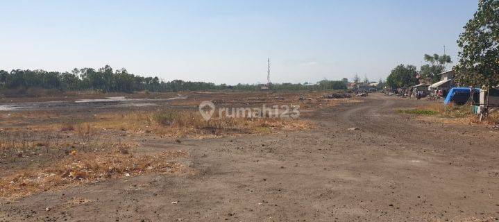 Tanah Curasawo Gending Probolinggo Jawa Timur SHM Dav.a024 1