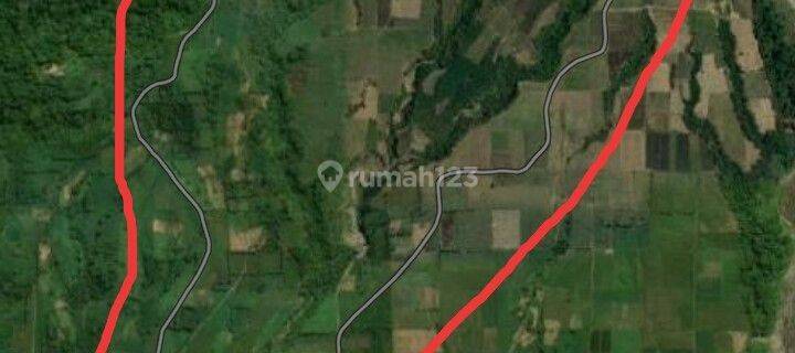 Tanah Dijual di Garum, Blitar 1