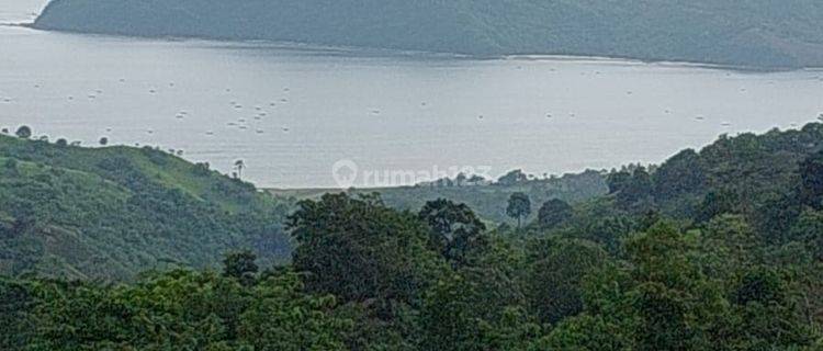 Tanah Murah View Teluk Belongas, di Buwun Mas Hills, Lombok Barat 1