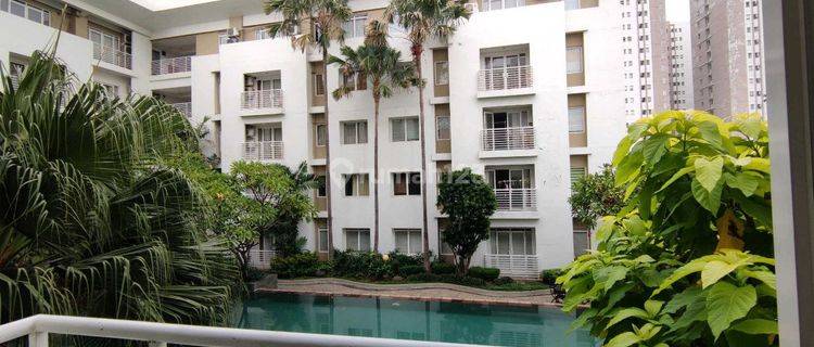 Dijual Apartemen Cosmopolis Keputih Surabaya Ric.a238 1