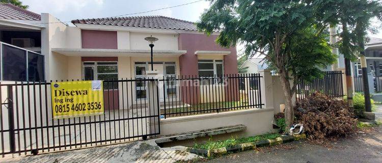 Rumah Baru Disewakan Unfurnished Perumahan Nusa Indah Bogor 1