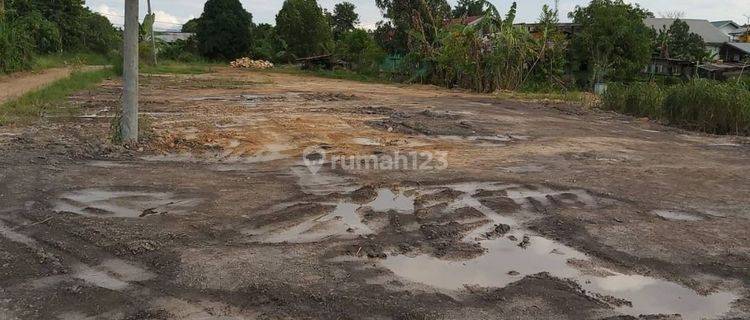 Dijual Tanah Diarea Gunung Tabur Kalimantan Timur 1