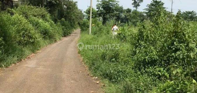 Tanah Disewakan Murah Di Kutawaringin, Cianjur 1