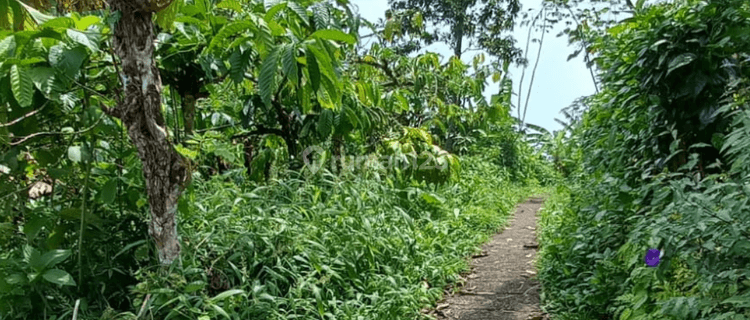 Sell Bung Biu Roadside Land, Suitable For Shops  1