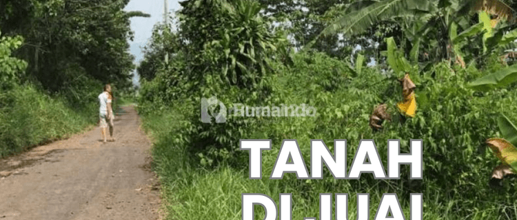 Tanah Dijual Murah Di Kutawaringin, Cianjur, Cocok Untuk Peternakan, Perkebunan, Dll Tanah Relatif Datar, View Bendingan Cirata di Kejauhan, Jika Cuaca Cerah 1