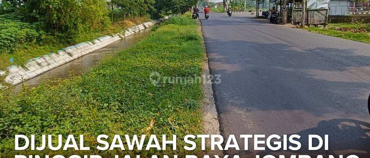 Dijual Sawah Strategis di Pinggir Jalan Raya Jombang Ngoro Malang 1