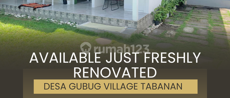 AVAILABLE, JUST FRESHLY RENOVATED 1