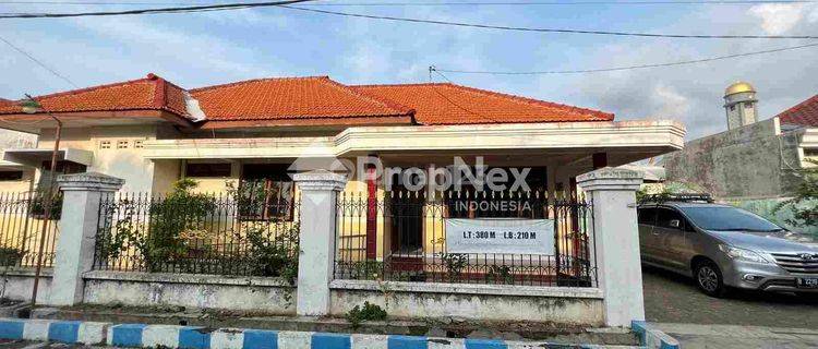 jl Mawar Kuning Kota Probolinggo 1