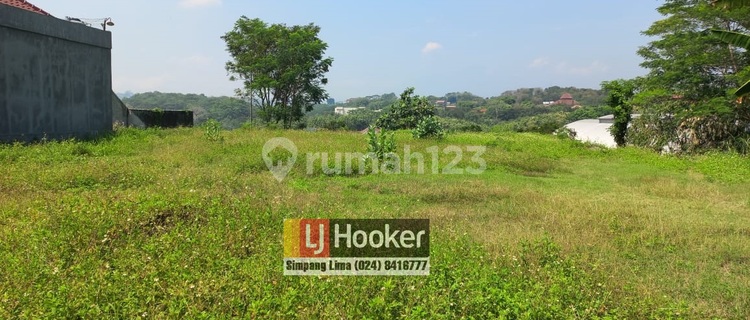 Disewakan Murah Tanah di Papandayan 10630 Bud 1