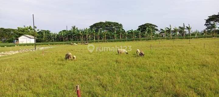 Tanah/Lahan Kavling Siap Bangun di Daerah Sukawangi 1