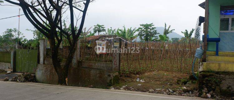 Di Jual Tanah 1000m² Di Cipanas Cianjur 1