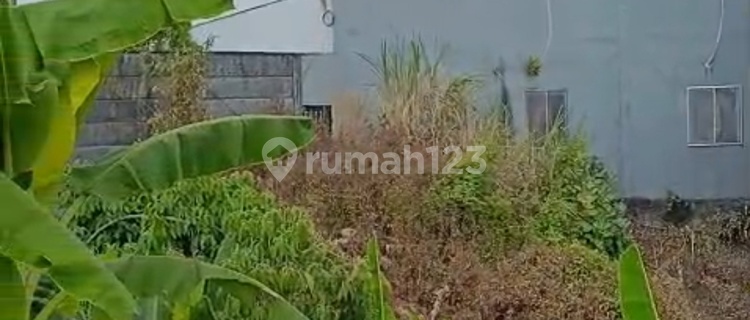 Dijual Tanah Produktif Tepi Jalan Diponegoro Ungaran Jawa Tengah 1